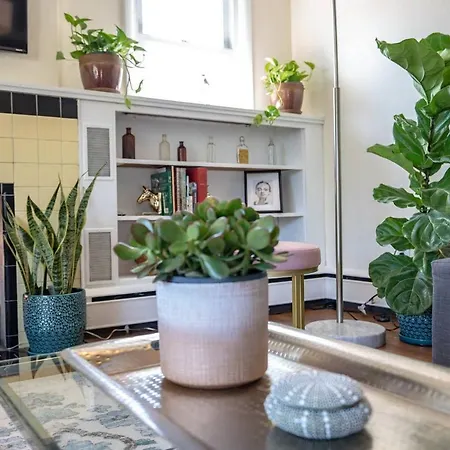 Fabulous Mid Century 4Br 3Bath House-2